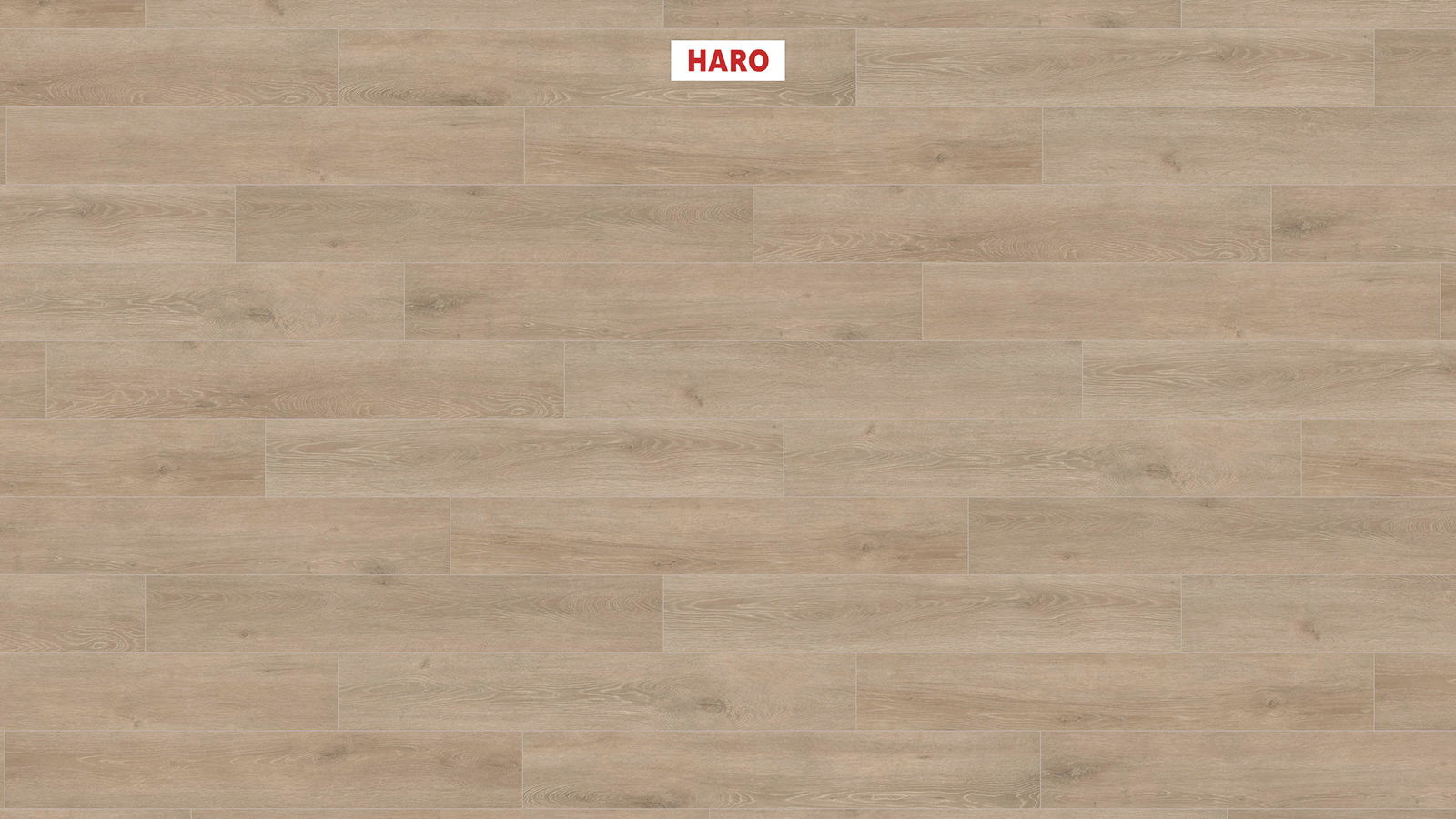 HARO Laminatplank T200 Aqua Plank Eg Veneto