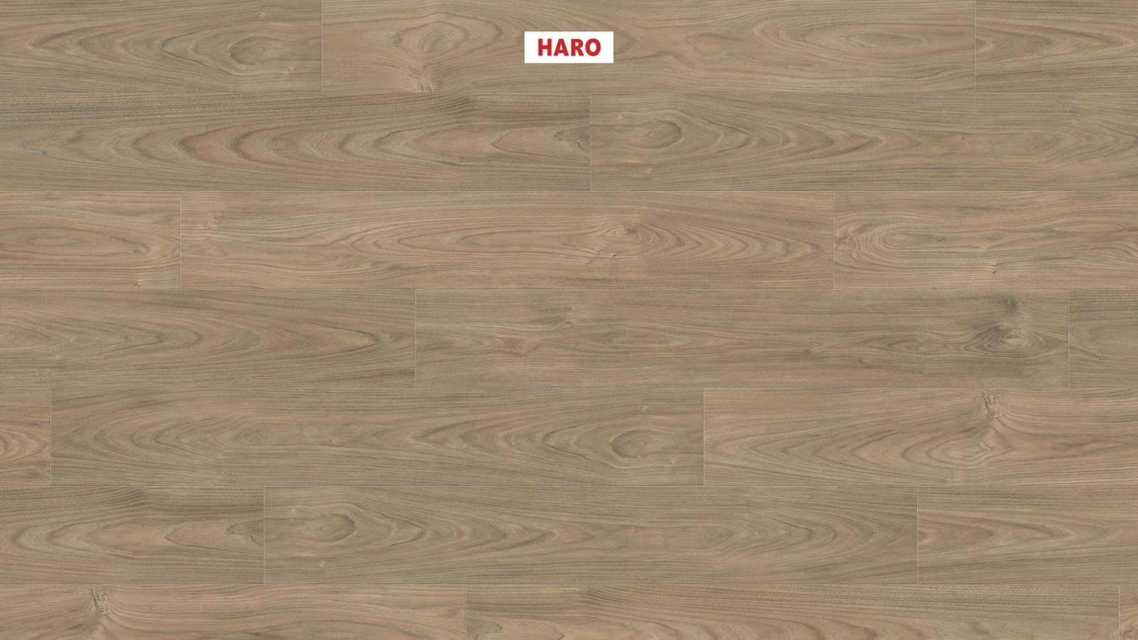 HARO Laminatplank T100 Plank Elm Vario