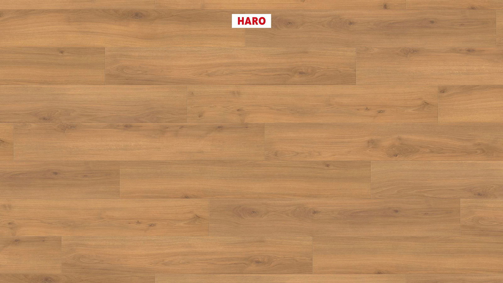 HARO Laminatplank T100 Plank Eg Emilia