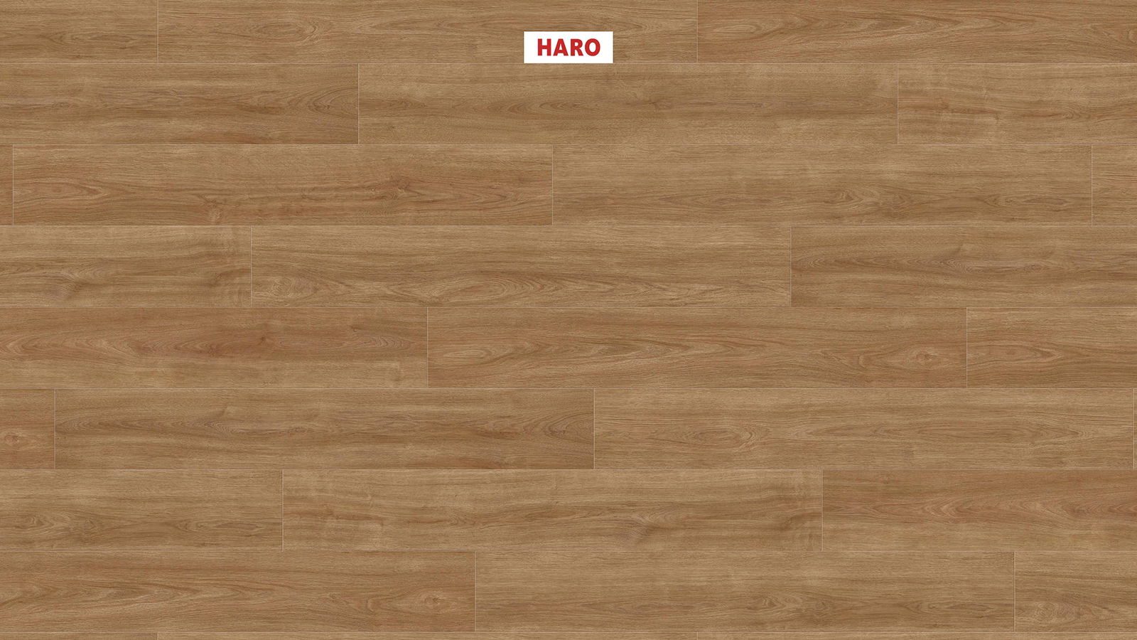 HARO Laminatplank T100 Plank Eg Eleganza