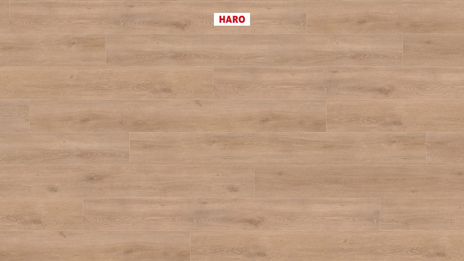 HARO Laminatplank T100 Gran via Eg Veneto