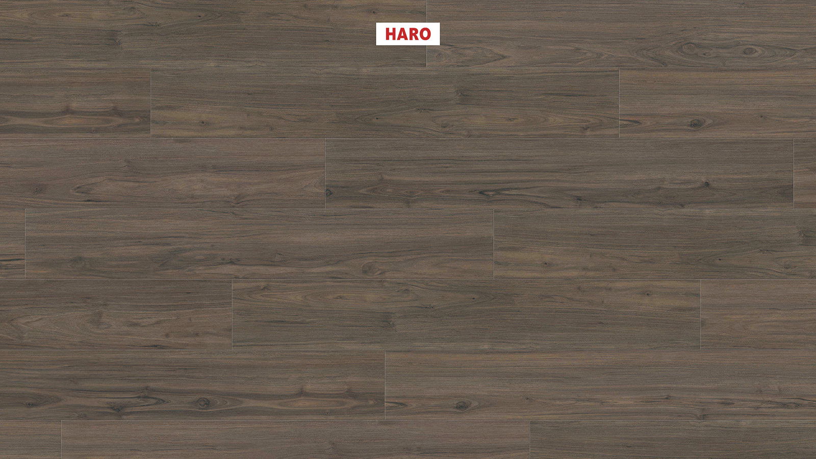 HARO Laminatplank T90 Plank Valnød Cesano