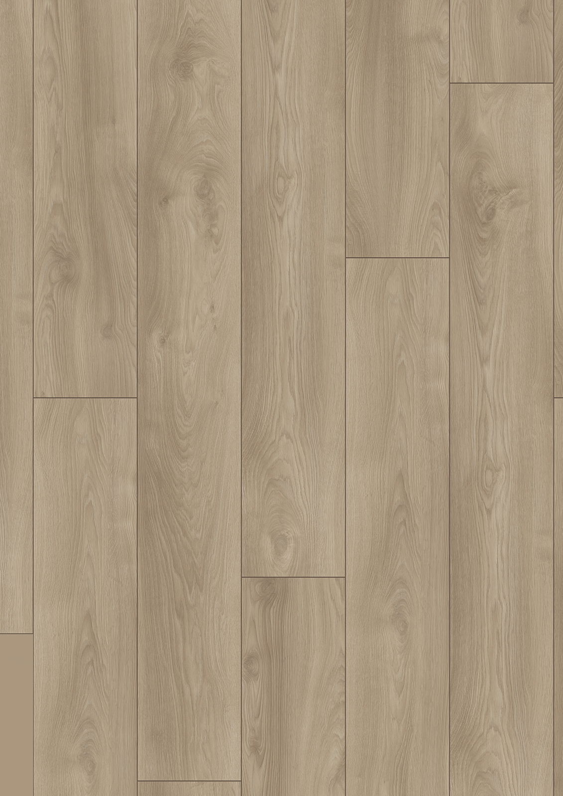 Wallmann Laminatplank Mammut Exclusive Eg