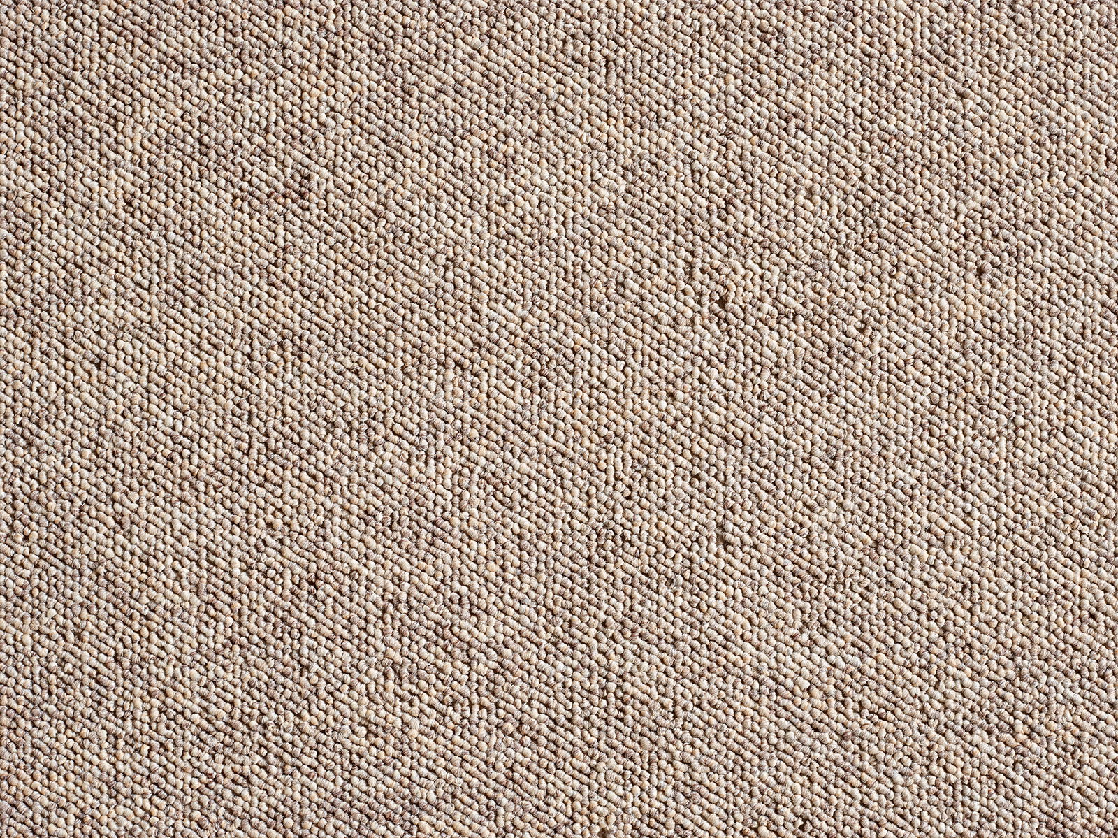 Danfloor Gulvtæppe Princetown Berber