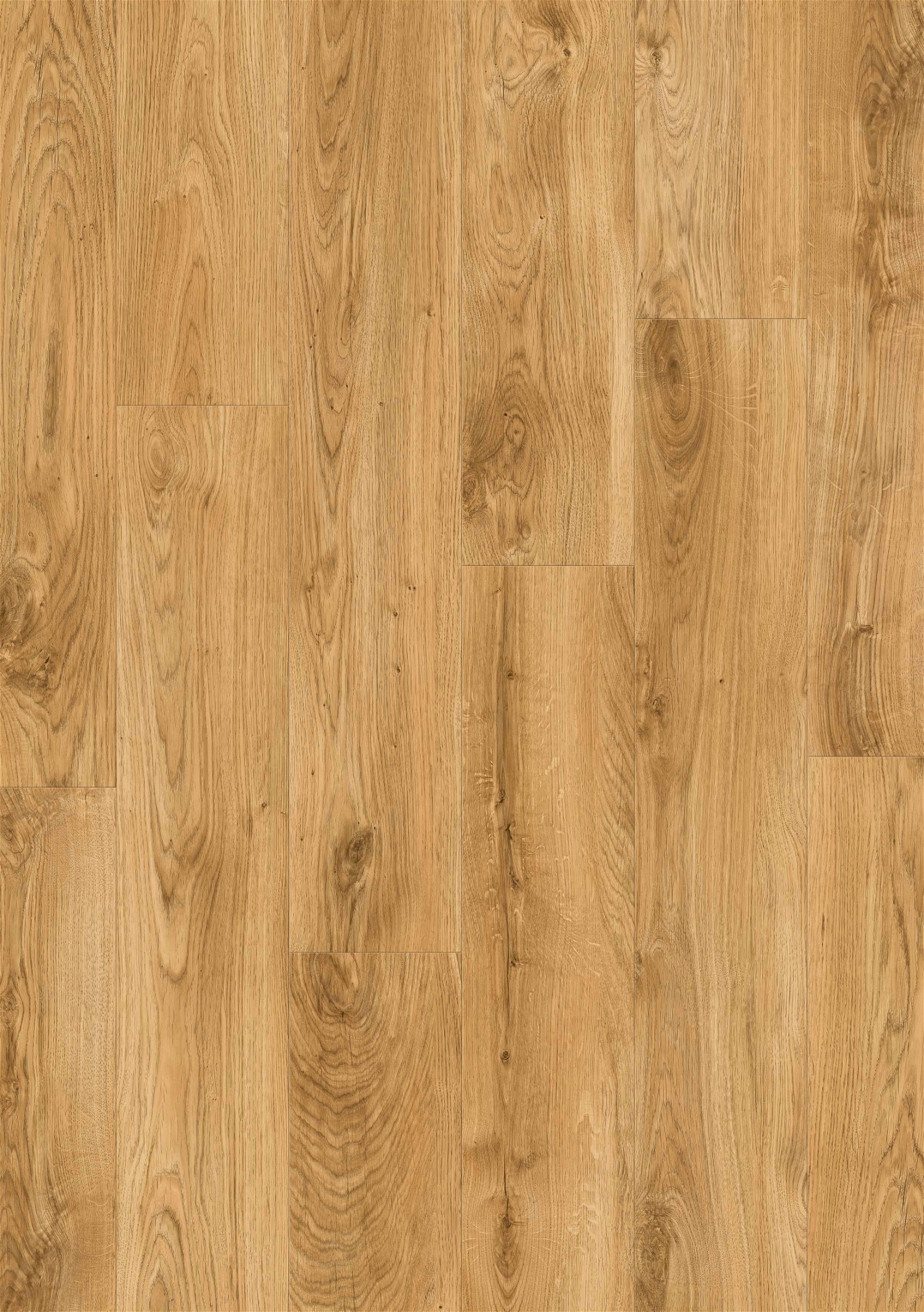 Ernæring gyde have Pergo Classic Plank Classic Nature Oak - Vinylplank | Klassisk | 1251 x 187  x 4,5 mm | 1000024158